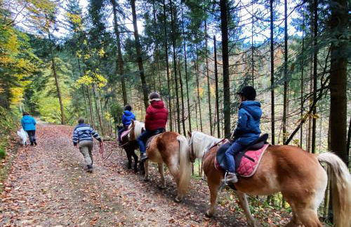 Le Gîte des Chevaliers - Foto 15