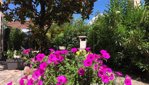 Appartamento villatorretta24 - Photo 3, Garden, Garden view