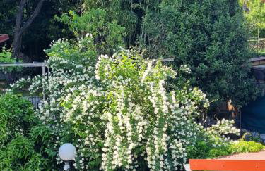 Apartmani ViVa - Foto 51