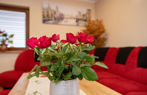 Noclegi u Bartka i Magdy - Foto 8