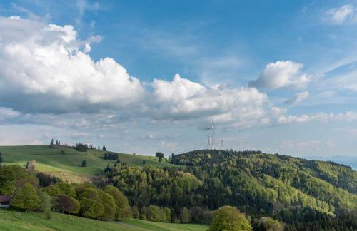 Ferienwohnung Emelie - Foto 38