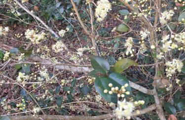 Reserva Atibaia / Casa de Montanha - Photo 47