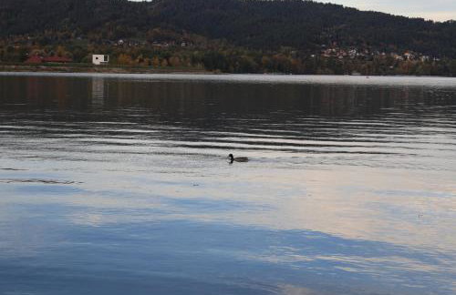 Apartamenty Paszkówka - Foto 42