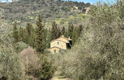 Villa Amici Apartment - Photo 32