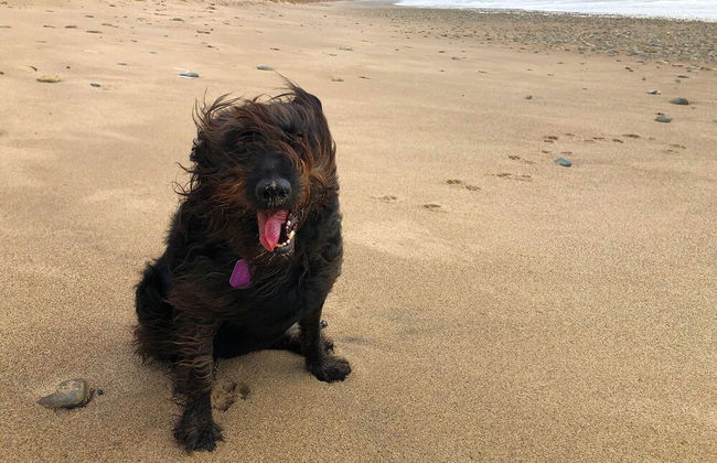 Saltee View Holiday Home - Foto 29