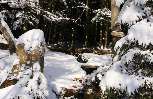 Ruckzugsort in Mossautal-huttenthal - Foto 35