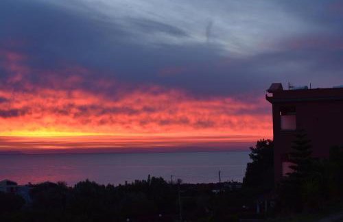 Yolanda Studios - Photo 31