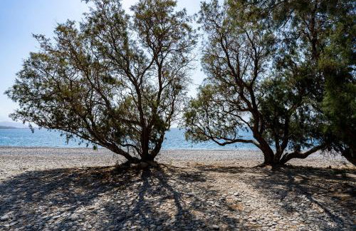 Akra Grammeno Beachfront Villas - Foto 33