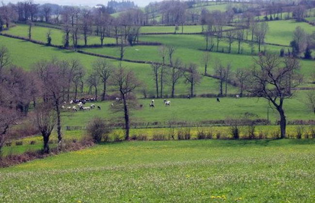 Gite de la Fontaine de Barry - Foto 11