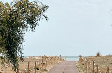 APARTAMENTO PLANTA BAJA CANET DE BERENGUER - Foto 53