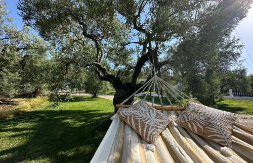 House Garli Premium Hospitality - Photo 68