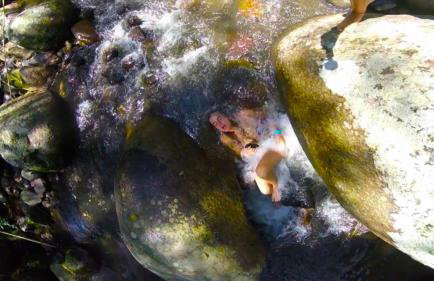 Chalés Cachoeira Azul - Foto 65