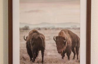 Cabin 2 at Horse Creek Resort - Foto 22