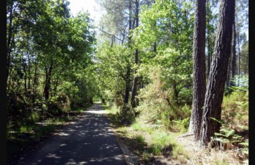 Location Fantaisie Ondres - Foto 7