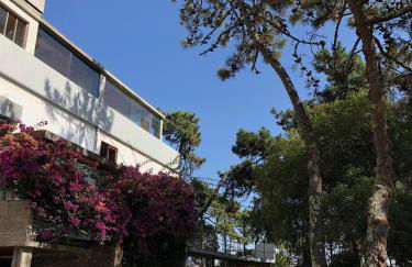 Bungalow B9 - Nature, Beach & River - Foto 39