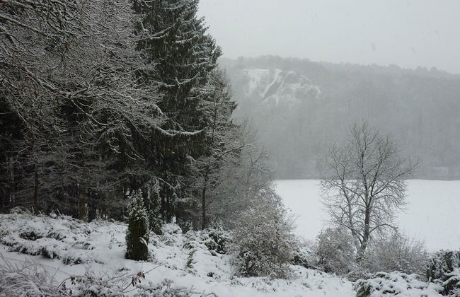 Cozy Escape in Bohon - Photo 20