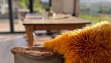 The Bw thyn - Ceredigion - Photo 2