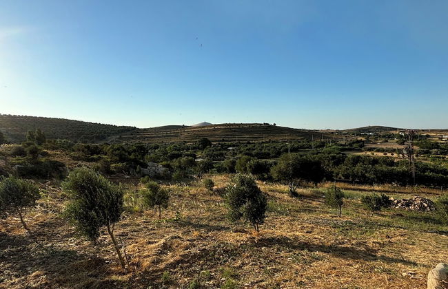 Zeus kır evi - Photo 24