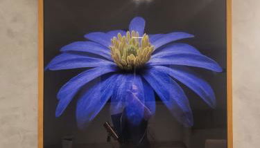 Home Design Club - Foto 5