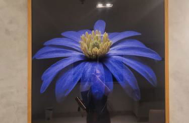 Home Design Club - Foto 5