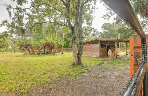Pet-Friendly Cabin on 50 Acres in Palm City! - Foto 22