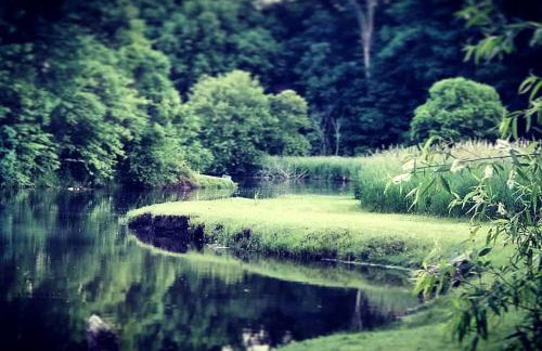 Unique Repurposed Barn near Niles for Glamping in Michigan - Foto 32