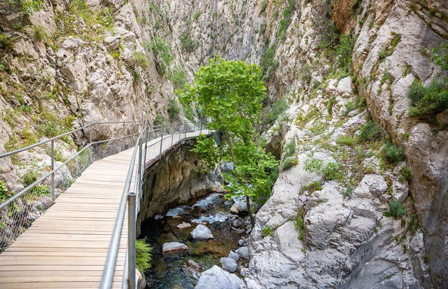 Da Alanya Tour di un'intera giornata al Sapadere Canyon con pranzo e trasferimenti - Foto 5