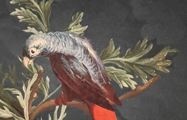 La Guinière Chambres D'hôtes - Foto 10