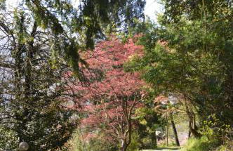 Villa Rollier, Arte e Meditazione - Foto 46