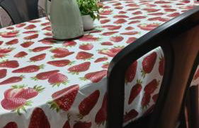 Cantinho Amazônico - Foto 5