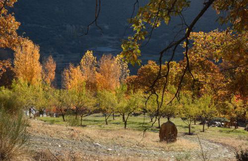 Cortijos Rey Fini - Foto 51