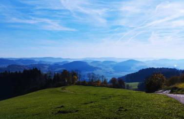 Traumblick Bayerischer Wald, Pool & Sauna, Getränke, Klimaanlage - Foto 62