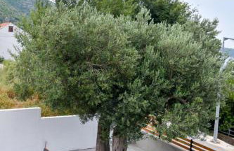 APARTMENT ELI - SEA VIEW - Foto 39