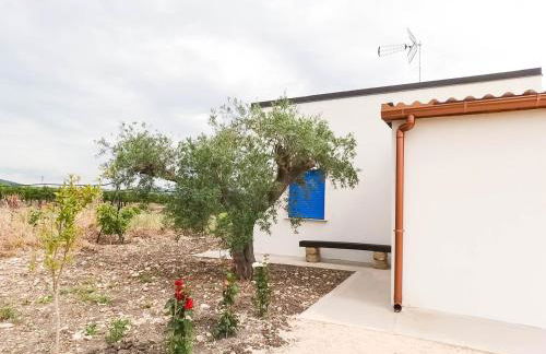 Luna Calante Tra gli Agrumi - Foto 8