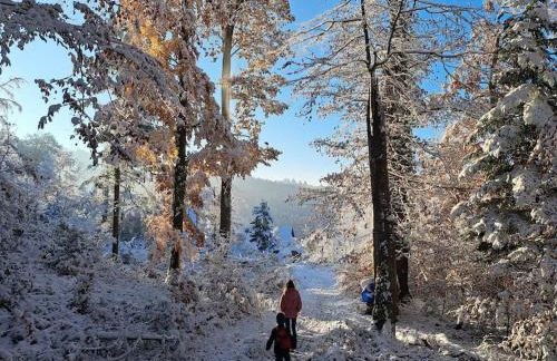 Traumwohnung mit eigenem Garten - Foto 57