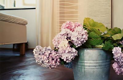 Agriturismo il Mulino - Foto 50