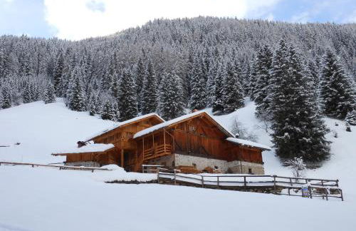 Maso Coler - Foto 28