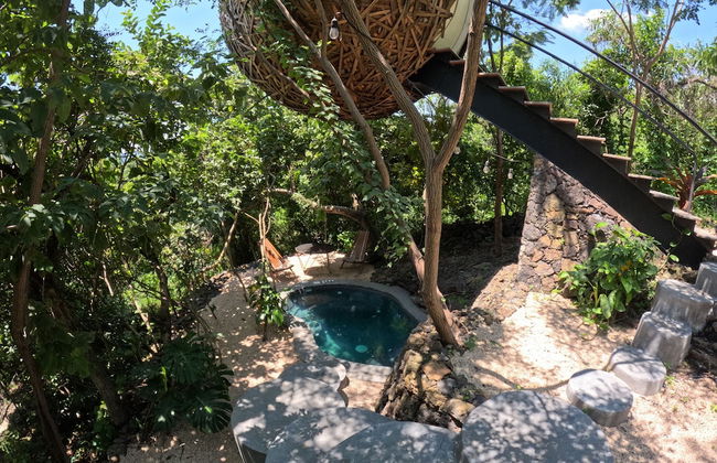 Bosque Geométrico - Foto 8