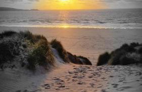 3.9. Tudor Court - Foto 24