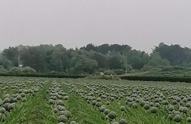 LES HAUTS VENTS - Foto 57