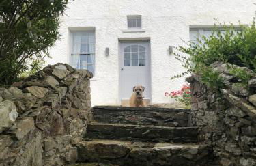 Tan Y Cytiau - Foto 18