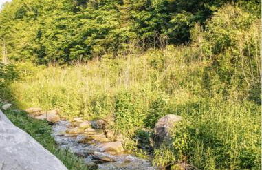 Streamside ShinyTiny Airstream in the Smokies - Foto 27