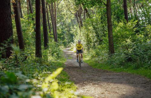 Słoneczna Przystań - Foto 71
