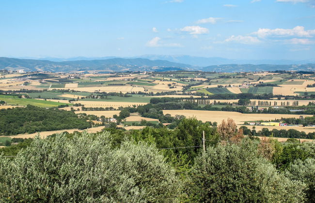 La Collina Fiorita - Photo 52