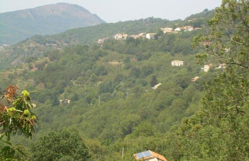 Agriturismo Fontanapietra - Foto 4