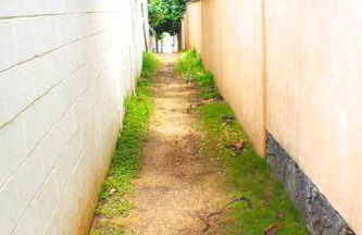 North Shore of Maui - 2bd-2bath - Foto 30