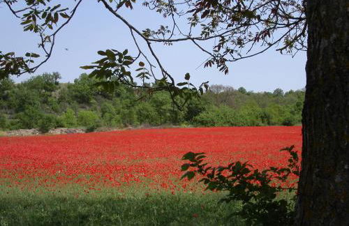 Dimora Visconti - Foto 49