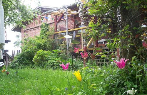 Windmühle an der Nordsee in der Nähe Büsum - Photo 34