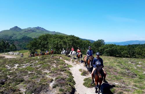 Casa da Pontelha by Gerês Casas - Foto 46
