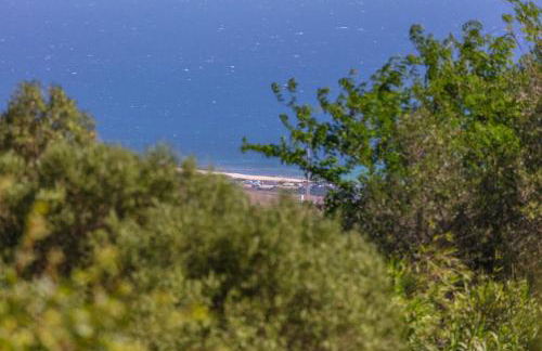 Casa Pájaro del Músico, Bolonia - Foto 62